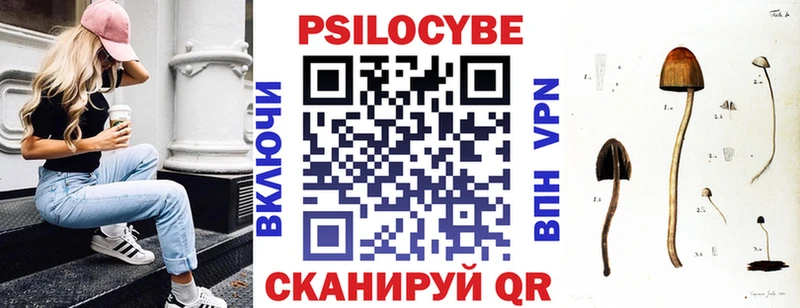 Псилоцибиновые грибы Magic Shrooms Купить закладки Дубна